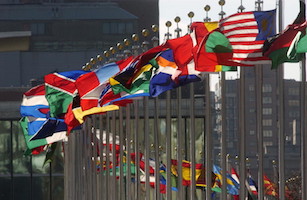 UN flags